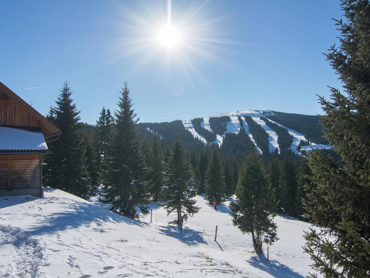 Beautiful Holiday Home In Weinebene With Sauna Obergosel Bagian luar foto